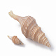 Spiral Shell Beads(X-SSHEL-S258-07)-2