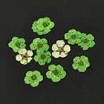 Narcissus Embossing Dried Flowers, for Cellphone, Photo Frame, Scrapbooking DIY Handmade Craft, Lime Green, 7mm, 20pcs/box(DIY-K032-60A)