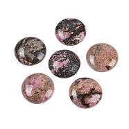 Natural Rhodonite Cabochons, Half Round/Dome, 25x5.5mm(G-H1596-FR-25mm-13)