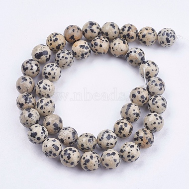 Natural Dalmatian Jasper Stone Bead Strands(X-G-R193-14-10mm)-2