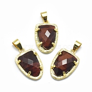 Natural Tiger Eye Pendants, with Brass Findings,  Faceted, Golden, 22.5x14.5x5mm, Hole: 4x5.5mm(G-O176B-14G)