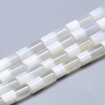 Natural Two Tone Agate Beads Strands, Dyed, Column, WhiteSmoke, 20x8mm, Hole: 1.5mm, about 19pcs/strand, 15.7 inch