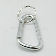 Aluminum Carabiner Keyring, with Iron Clasps, Oval, Silver, 57x30.5mm(KEYC-C010-1)