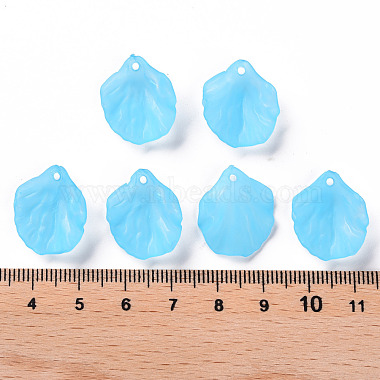 Transparent Frosted Acrylic Pendants(MACR-S371-01A-755)-4