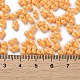 Glass Seed Beads(SEED-L011-04A-06)-4