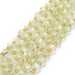 Natural Prehnite Beads Strands, with Seed Beads, Faceted, Diagonal Cube Beads, 5~6x5~6x4~5mm, Hole: 1mm, about 49~55pcs/strand, 15.35''~15.75''(39~40cm)(G-P463-46)