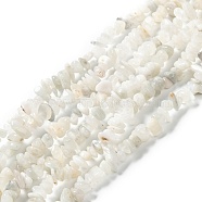 Natural Rainbow Moonstone Beads Strands, Chip, 6.5~14x5.5~7.5x1.5~6mm, Hole: 0.8mm, about 210pcs/strand, 31.50 inches(80cm)(G-A200-02)