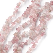 Natural Rose Quartz Beads Strands, Chip, 1.5~4.5x3~13x2.5~8mm, Hole: 0.6mm, 30.94~31.97 inch(78.6~81.2cm)(G-G0003-B05)