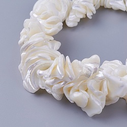 Natural Shell Beads Strands, Nuggets, 2.5~25x15~42x7~30mm, Hole: 1.4mm, about 16.25 inch(41.3cm)(SSHEL-E571-40)