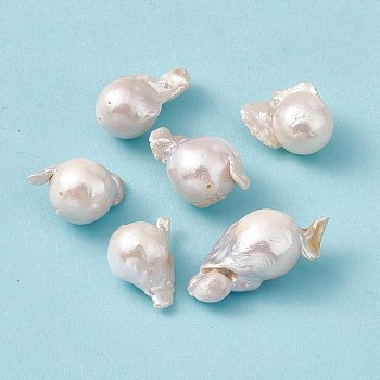 Baroque Natural Keshi Pearl Beads, Nuggets, Seashell Color, 22.5~38.5x17~19x13~16.5mm, Hole: 0.7mm