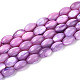 brins de perles de coquillages naturels de troca(X-SHEL-K006-19-01D)-1