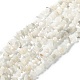 Natural Rainbow Moonstone Beads Strands(G-A200-02)-1