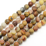 Frosted Natural Crazy Agate Round Bead Strands, Crazy Agate, 8mm, Hole: 1mm, about 47~49pcs/strand, 14.9~15.6 inch(G-M063-8mm-02)