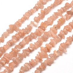 Natural Sunstone Chip Bead Strands, 5~8x5~8mm, Hole: 1mm, about 31.5 inch(X-G-M205-19)