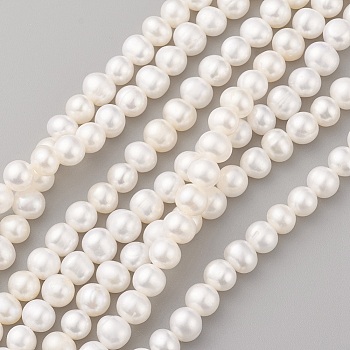 Natural Cultured Freshwater Pearl Beads Strands, Potato, Seashell Color, 7~8x6~7mm, Hole: 0.5mm, about 55pcs/strand, 14.1 inch(36cm)