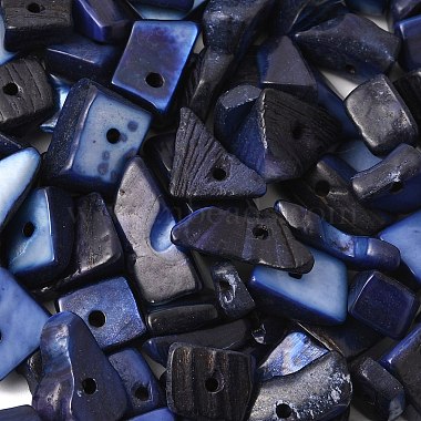 Dyed Natural Freshwater Shell Chips Beads(X-SHEL-O001-12C)-5