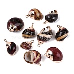 Electroplate Natural Spiral Shell Pendants, Conch Shell Charms with Golden Tone Iron Loops & Brass Edge Findings, FireBrick, 16~25.5x10.5~16.5x8~13mm, Hole: 1.2~1.8mm(SSHEL-Q100-47G)