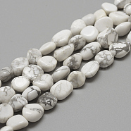 Natural Howlite Beads Strands, Oval, 8~15x7~12x4~12mm, Hole: 1mm, about 30~45pcs/strand, 15.7(G-R445-8x10-26)