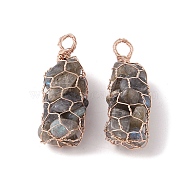 Rack Plating Copper Wire Wrapped Natural Labradorite Chip Big Pendants, Macrame Gems Charms, Cadmium Free & Lead Free, Rose Gold, 45.5~56x17~20x17~22mm, Hole: 5~6.5mm(G-C130-01RG-10)