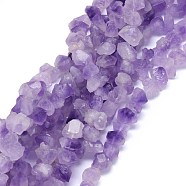 Natural Amethyst Beads Strands, Nuggets, 7~13x11~19mm, Hole: 1mm, about 34~39pcs/strand, 15.1 inch(G-O173-010B)