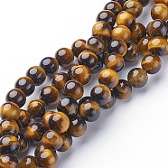 Natural Tiger Eye Beads Strands, Grade A, Round, 8mm, Hole: 2mm, about 46pcs/strand, 15.5''(39.37cm)(GSR8MMC014-C)