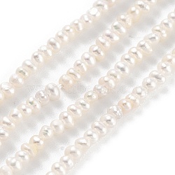 Natural Cultured Freshwater Pearl Beads Strands, Potato, Old Lace, 2~2.5mm, Hole: 0.5mm, about 90pcs/strand, 7.80~7.95 inch(19.8~20.2cm)(PEAR-C003-04C)