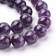 Natural Amethyst Beads Strands(G-G099-10mm-1)-3