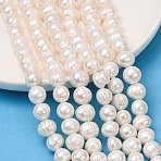 Natural Cultured Freshwater Pearl Beads Strands, Potato, Grade 2A+, Old Lace, 10~11mm, Hole: 0.6mm, about 36pcs/strand, 13.78''(35cm)(PA-CBABE82-11B)