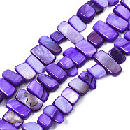 Natural Trochid Shell/Trochus Shell Beads Strands, Dyed, Rectangle, Blue Violet, 6~11x6~36x1~7mm, Hole: 1mm, about 45~55pcs/strand, 14.96 inch~15.35 inch(38cm~39cm)(SHEL-S258-082-B02)
