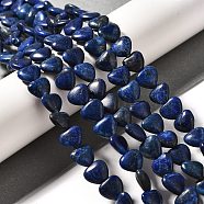 Natural Lapis Lazuli Beads Strands, Heart, 10.5x10.5~11.5x4.5~5mm, Hole: 0.7~1mm, about 38~40pcs/strand, 36.8~42.6cm(G-R190-10mm-54A)