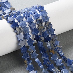 Natural Sodalite Beads Strands, Star, 6x6x2.5mm, Hole: 0.7mm, about 71~73pcs/strand, 14.37''~14.96''(36.5~38cm)(G-G085-B46-02)