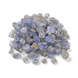 Transparent Acrylic Beads, Metal Enlaced, Mixed Shapes, Light Steel Blue, 7.5~22.5x7.5~21x5.5~13mm, Hole: 1.2~5.5mm(X1-MACR-L005-05C)