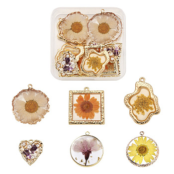 12Pcs 6 Style Epoxy Resin Pendants, with Dried Flower Inside and Light Gold Plated Alloy Open Back Bezel, Nuggets & Square & Rhomnbus & Heart & Flat Rround, Mixed Color, 2pcs/style