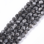 Natural Larvikite Beads Strands, Faceted, Round, 7.5~8.5x6.8~8.5x8mm, Hole: 1mm, about 47~50pcs/strand, 14.5 inch~15.7 inch(G-S348-03)