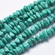 Natural Magnesite Beads Strands, Dyed & Heated, Nuggets, 9~18x8~12x2~6mm, Hole: 2mm, 15.7 inch(40cm)(TURQ-F008-01)