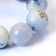 Chapelets de perle ronde en sodalite naturelle(G-E334-6mm-08)-4