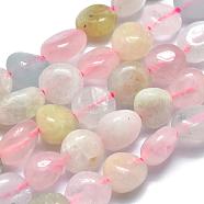 Natural Morganite Beads Strands, Tumbled Stone, Nuggets, 10~11x7~8x5~6mm, Hole: 0.8mm, about 37pcs/Strand, 15.75 inch(40cm)(G-O186-B-03)