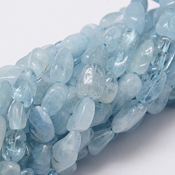 Natural Aquamarine Chip Bead Strands, 6~12x6~8mm, Hole: 1mm, about 46~48pcs/strand, 16 inch(X-G-M298-20)