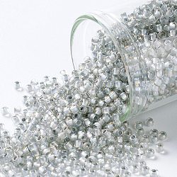 TOHO Round Seed Beads, Japanese Seed Beads, (261) Inside Color AB Crystal/Gray Lined, 11/0, 2.2mm, Hole: 0.8mm, about 1110pcs/10g(X-SEED-TR11-0261)