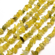 Natural Jade Chip Bead Strands, 5~8x5~8mm, Hole: 1mm, about 31.5 inch(G-M205-30)