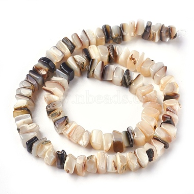 Freshwater Shell Beads Strands(BSHE-O017-09)-2