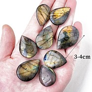 Natural Labradorite Healing Stones, Teardrop Stones, Pocket Palm Stones for Reiki Balancing, 30~40mm(PW-WG52116-01)