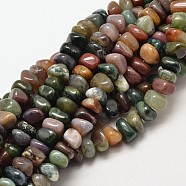 Natural Indian Agate Chip Beads Strands, 7~9x7~9mm, Hole: 1mm, about 72~83pcs/strand, 15.7 inch(X-G-P091-35)