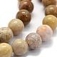Natural Fossil Coral Beads Strands(G-G763-12-8mm)-6