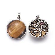 Natural Tiger Eye Pendants, with Brass Findings and Rhinestone, Half Round with Tree of Life and Owl, 31x27x10~11mm, Hole: 5x7mm(G-I214-E02)