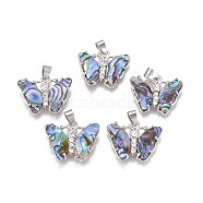 Natural Abalone Shell/Paua Shell Pendants, with Rhinestone and Brass Findings, Butterfly, Platinum, 20~20.5x25~25.5x3.5~4mm, Hole: 4x5.5mm(SSHEL-F303-01A)