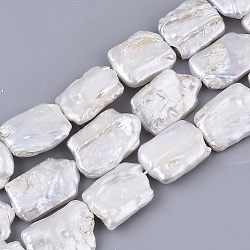 Natural Baroque Pearl Keshi Pearl Beads Strands, Cultured Freshwater Pearl, Rectangle, Seashell Color, 20~24x13~15x4~7mm, Hole: 0.6mm, about 19~21pcs/Strand, 16.54 inch(42cm)(PEAR-Q015-002B-01)