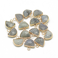 Natural Labradorite Semi Circle Pendants, with Brass Findings, Faceted, Half Round, Golden, Light Grey, 13.5~14.5x13~14x5.5mm, Hole: 2mm(X-G-Q965-06)