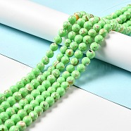 Synthetic Turquoise and Sea Shell Assembled Beads Strands, Dyed, Round, Green, 12mm, Hole: 1.4mm, about 33pcs/strand, 15.55''(39.5cm)(G-D482-01E-02)