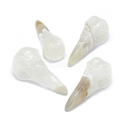 Natural Agate Sculpture Display Decorations, for Home Office Desk, Eagle's Beak, 40~47x17~21x14.5~18mm(G-F719-44B)